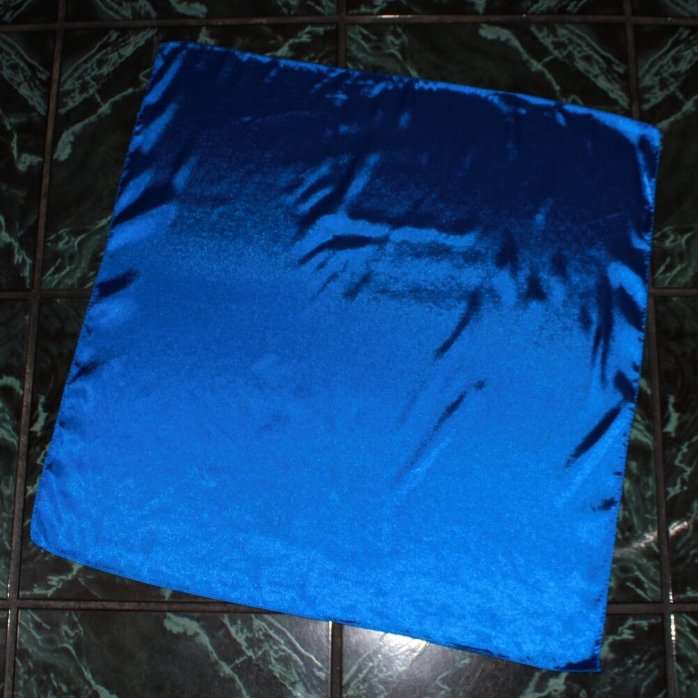 Unknown Brand Shiny Satin Scarf